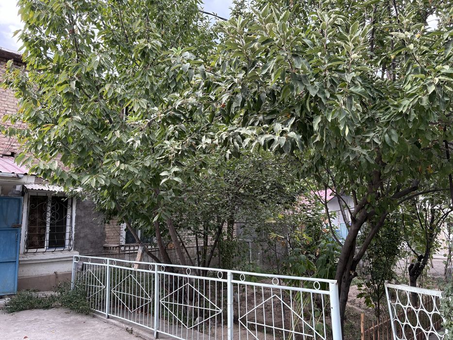 Квартира сзаде Parkent Plaza