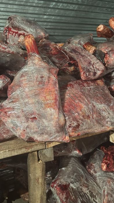 Колбасное мясо оптом, 20 тонн.