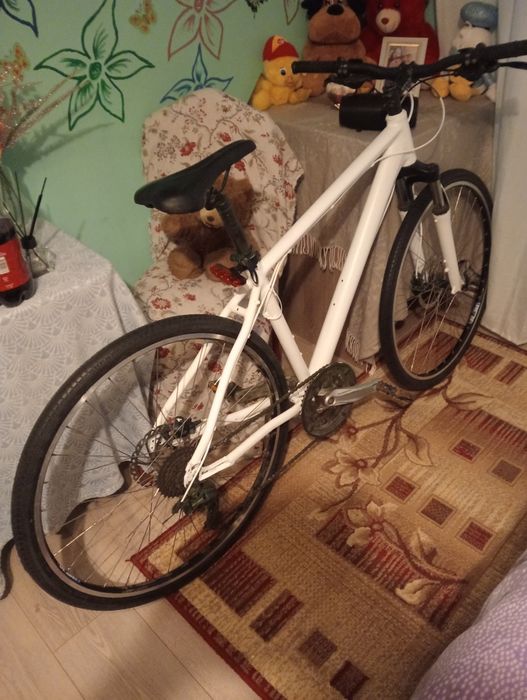 Bicicleta montenbike