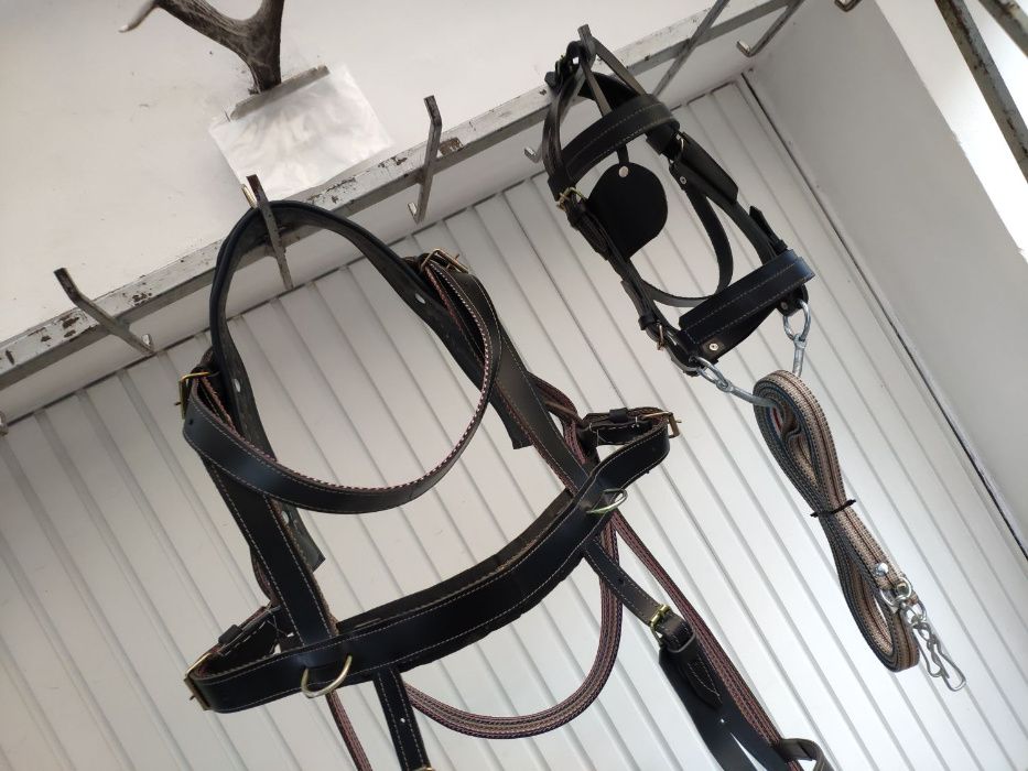 set-global PONEI/MAGAR | ham + capici + zabala + haturi ⟣GARANTIE ⁴⁸