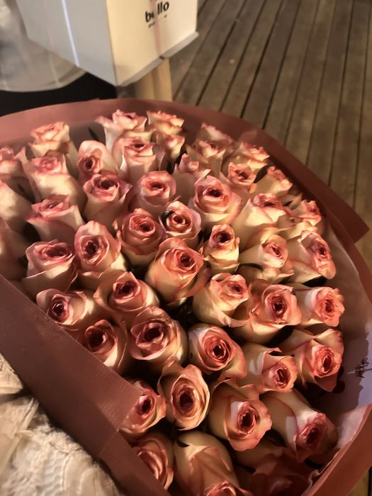 51 шт голландские розы