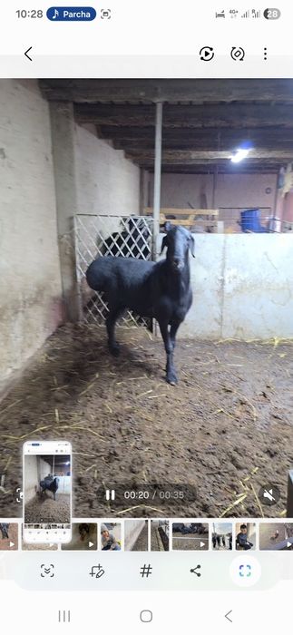 Лумизин линяа 2 г