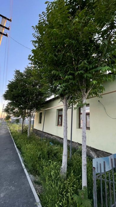 Продажа дома  Туркестан