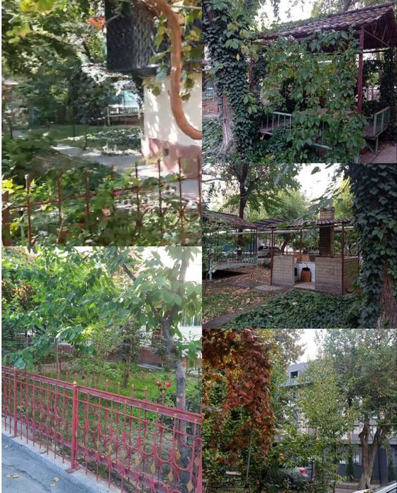 Аренда квартиры Ганга