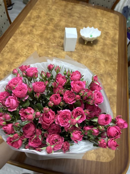 Продам цветы куставые розы