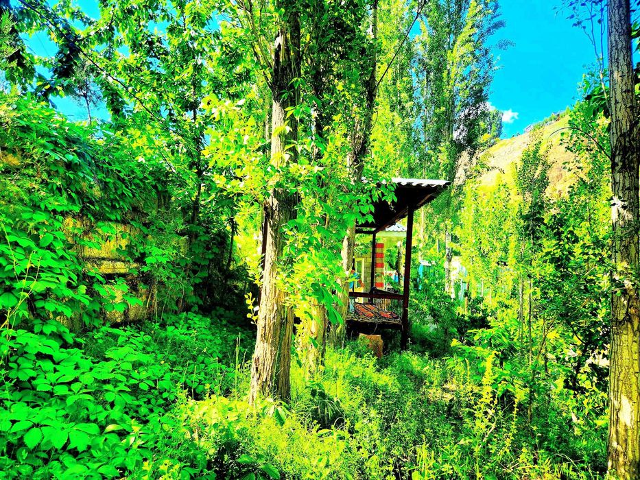 Perevalda.Dacha hujatlari bor