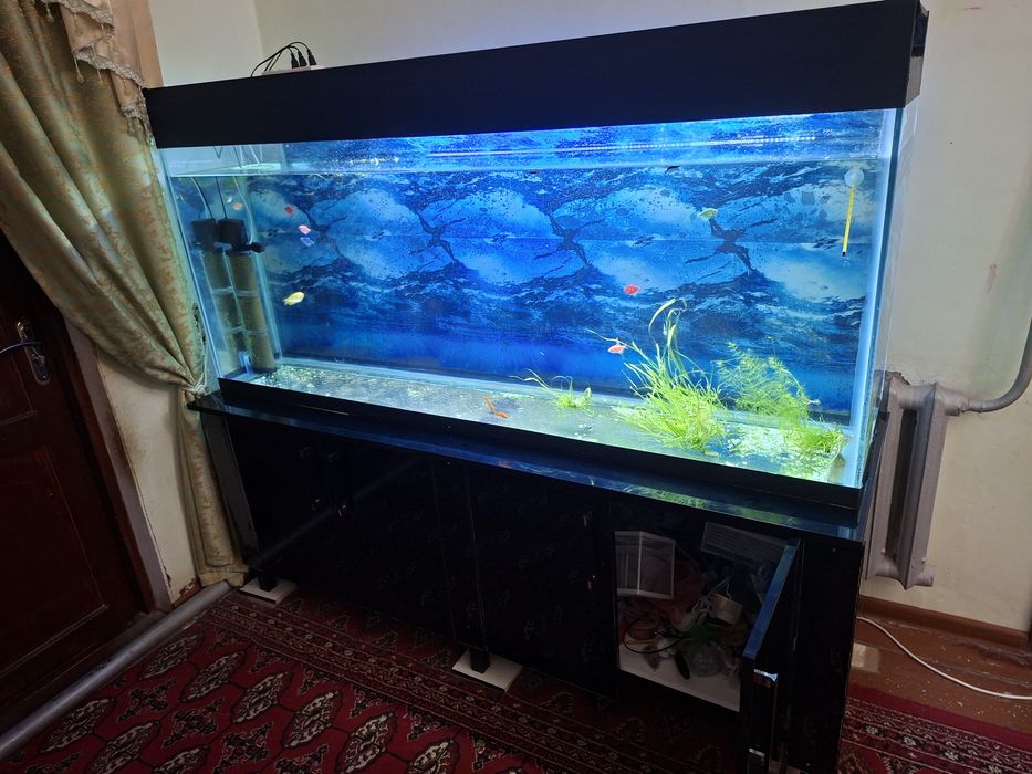 Аквариум сатылады