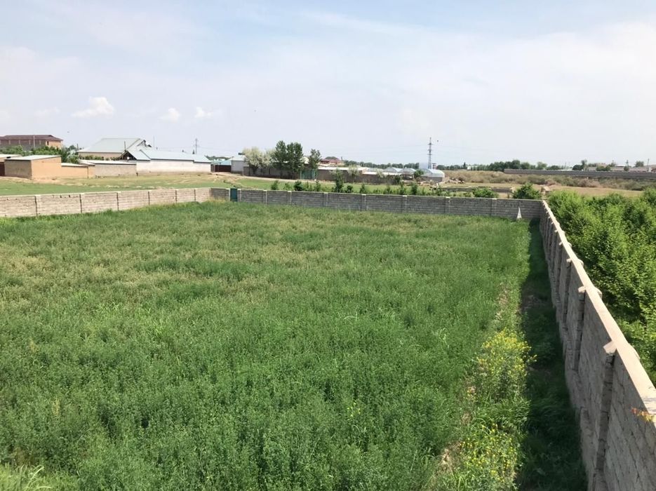 Участок 15 соток