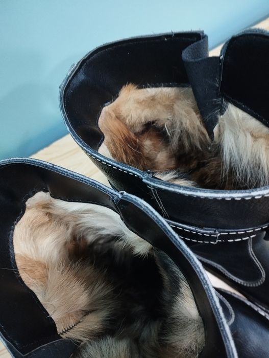 Монгольские сапоги