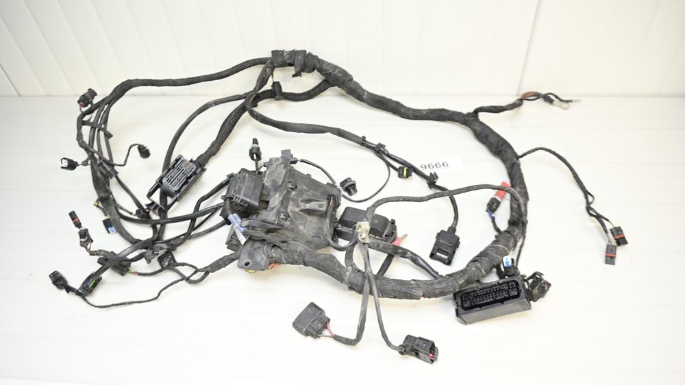 BMW S1000R K47 2017 - 2020 Instalatie electrica