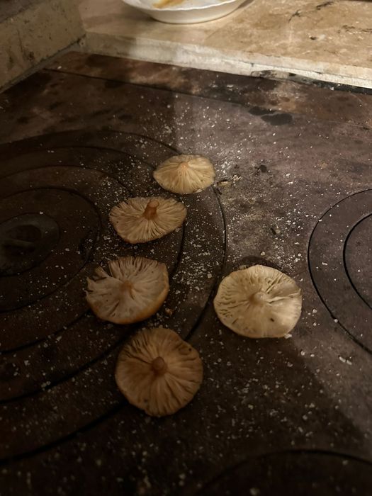 Grătar de grădină