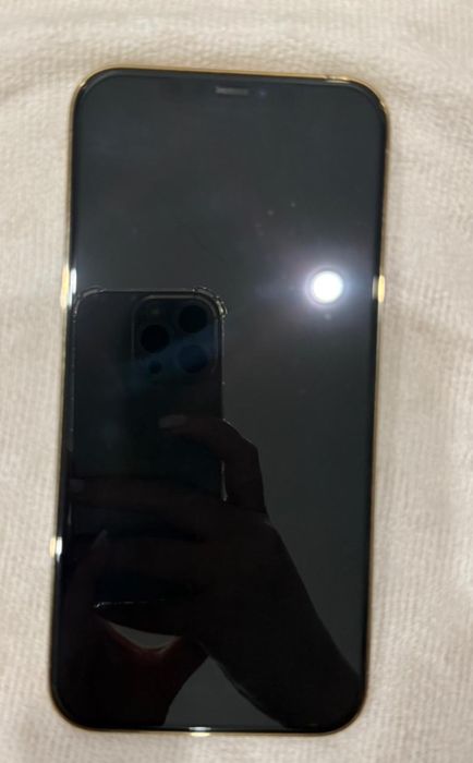 iPhone 12 Pro Max