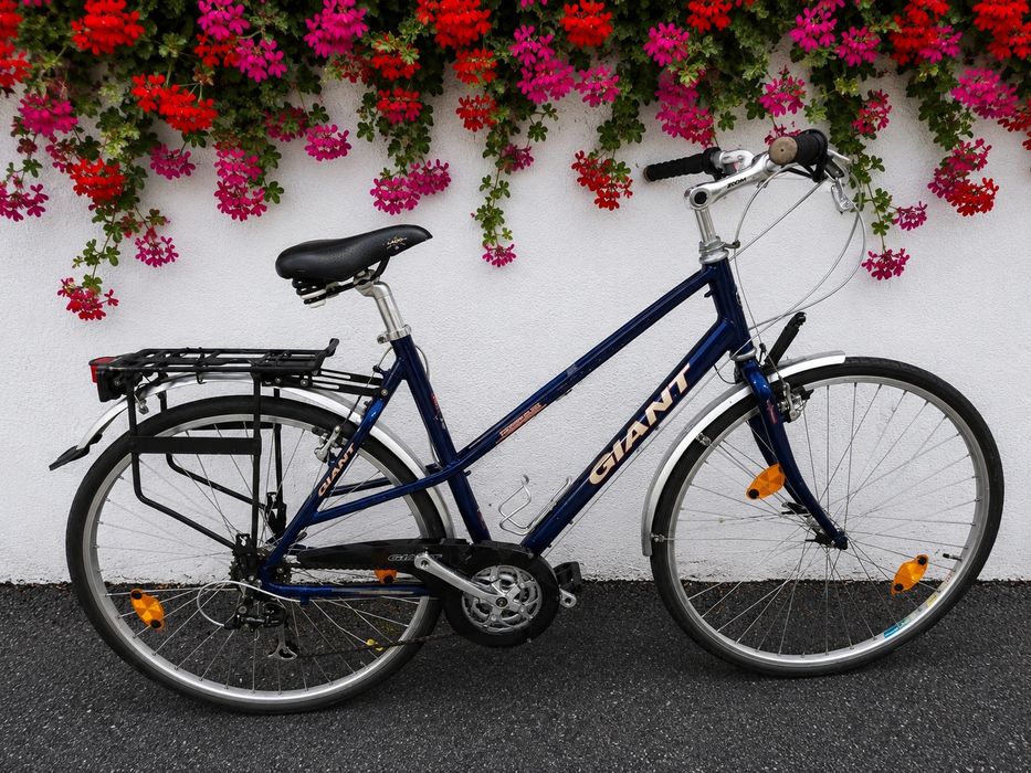Bicicleta dama Giant lady vintage Alu
