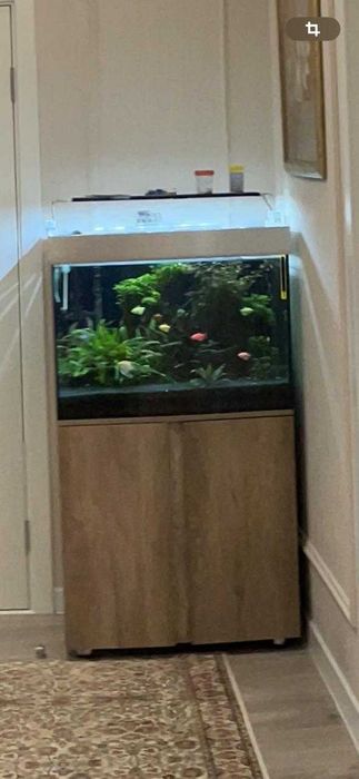 Аквариум пресноводный