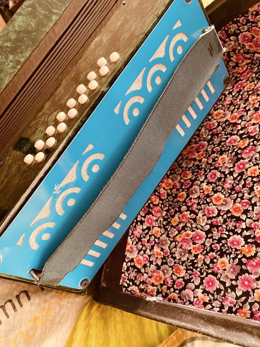 Детски акордеон , неразлечим от нов