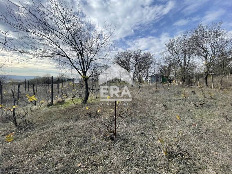 Продава се Парцел в Варна, м-т Ментешето - 977 кв.м за 67 €/кв.м - Снимка #4