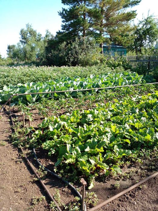 Приватизированная дача на СПП