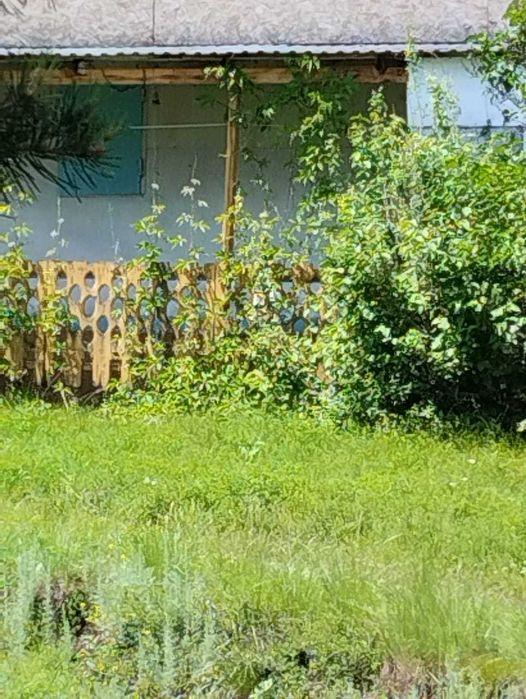 Участок с домиками на Бухтарме