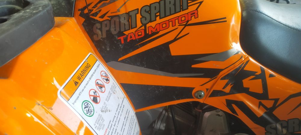 Квадроцикл Тао Motors