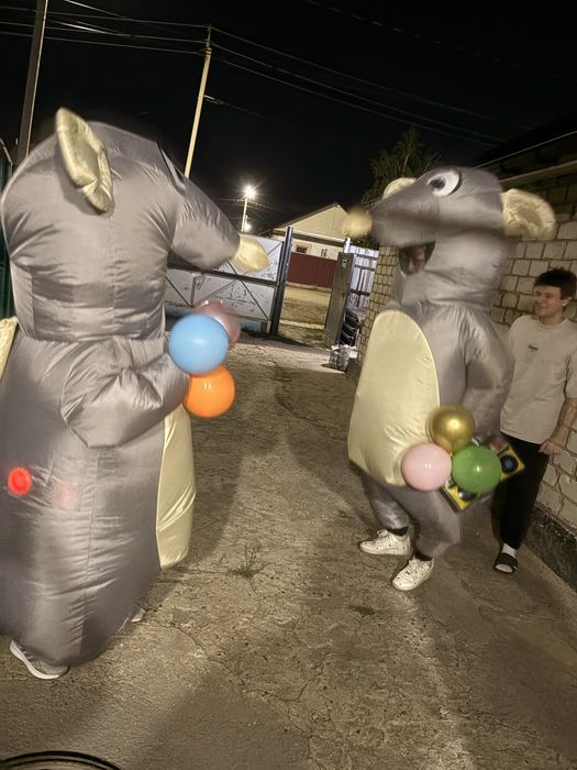 Экибастуз. Прокат костюмов крыски