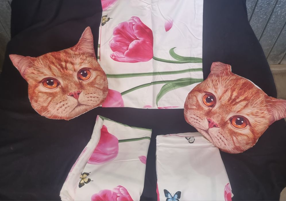 Lenjerie pat plus doua perne