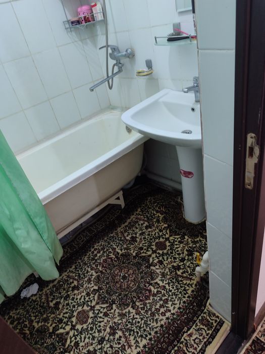 1- Мик, Конечка, отчопар