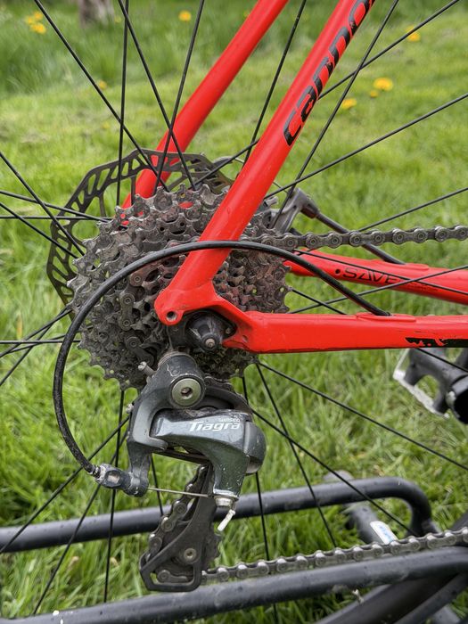 cursieră Cannondale Synapse