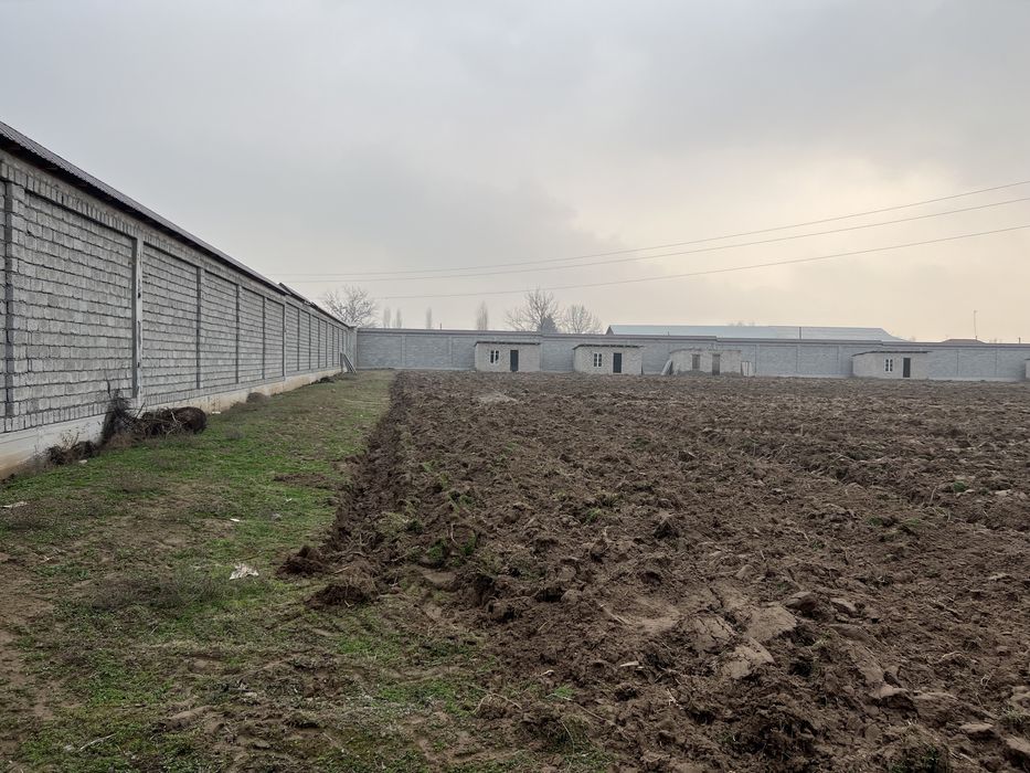 Продаеться земля недвижимость В Янгибазаре Юкори Чирчикском р-н.