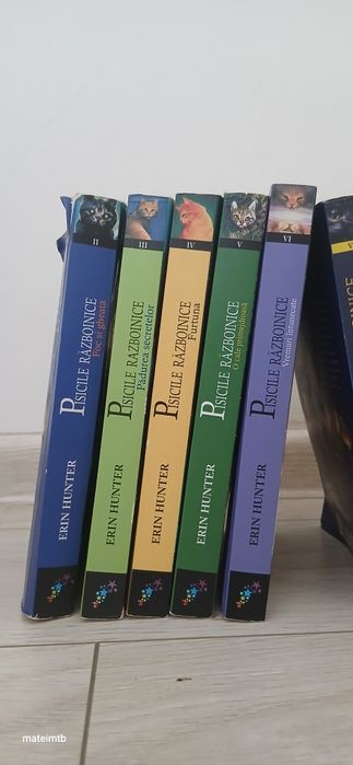 Serie de cărți ,,Pisicile Raboinice'' de Erin Hunter, volumele 2-12