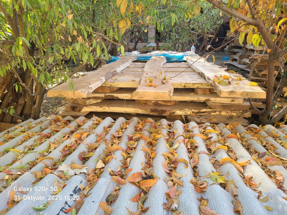 Yong‘oq taxta sotiladi