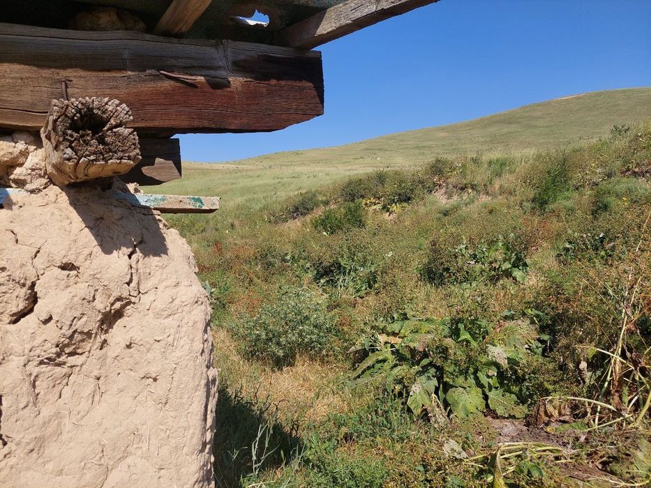 Uchastka yer maydoni dacha un ajoyib joy