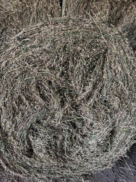 Baloti lucerna uscata 1,2 x 1,8 m 450 kg