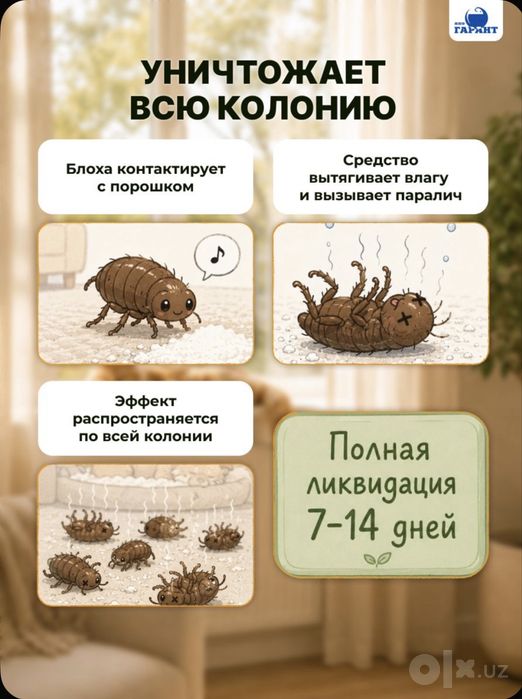 Эко Абсолют от клопов и блох и других насекомых