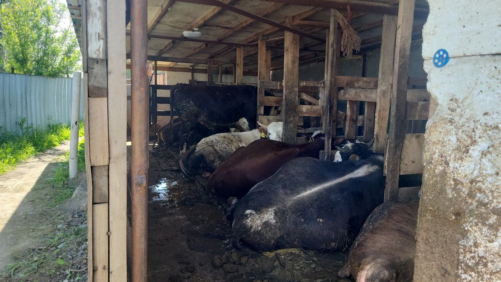 Продам частный дом