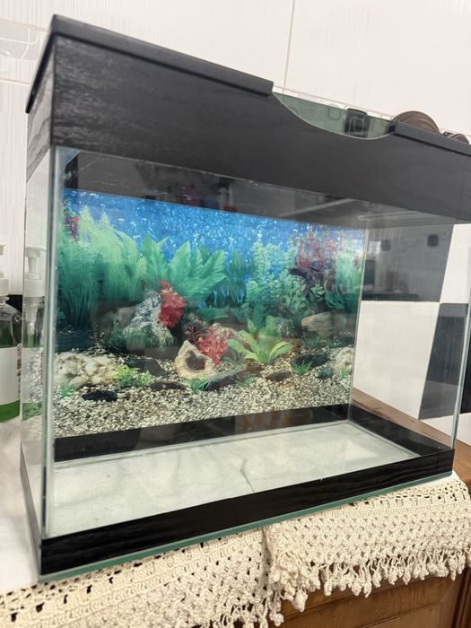 Acvariu 19 litri