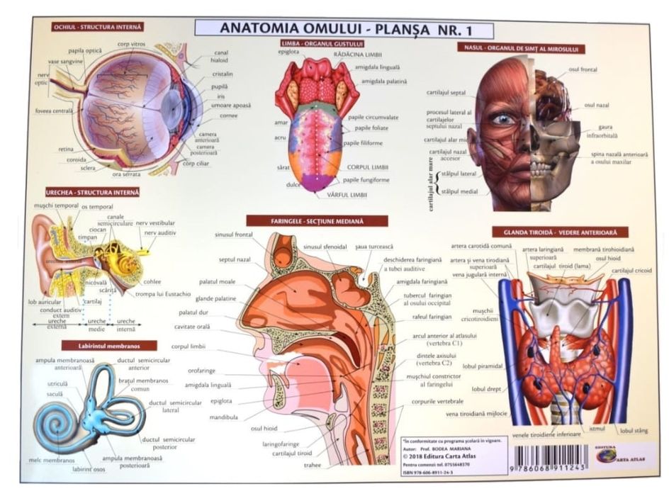 Meditații pentru examenul de bacalaureat biologie și admitere!!!