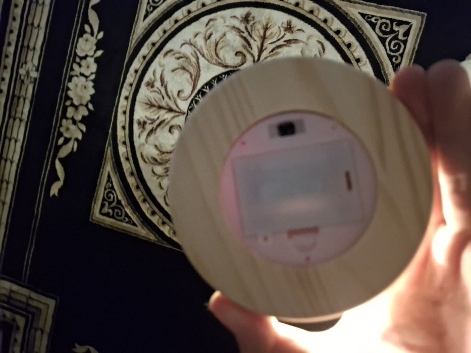 Бесконечные розы