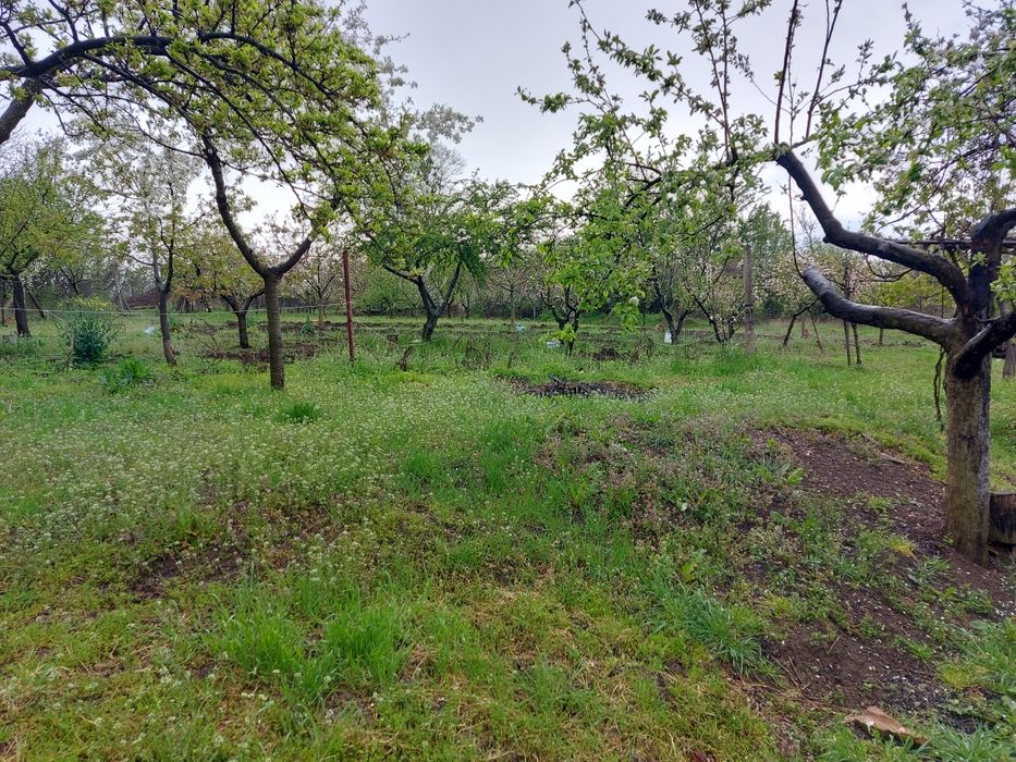 Продава се Къща в Горна Оряховица - 130 кв.м за 157 €/кв.м - Снимка #19