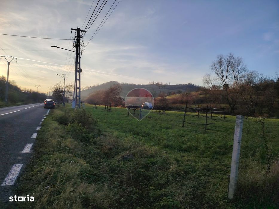 Teren intravilan-2.600 mp în Bârsana | 100 ml deschidere | Comision 0