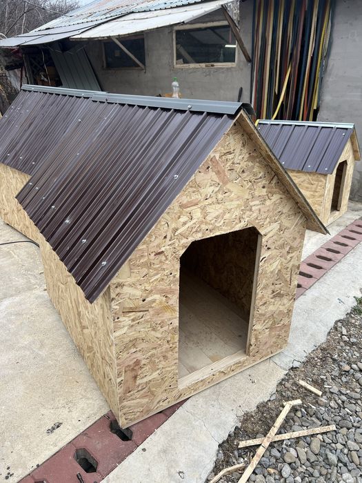 Vand cotet pentru caine - orice dimensiune la cerere