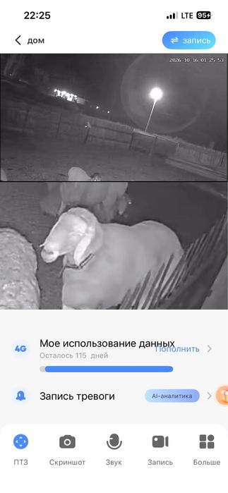 Продам кошкарчиков и кошкара