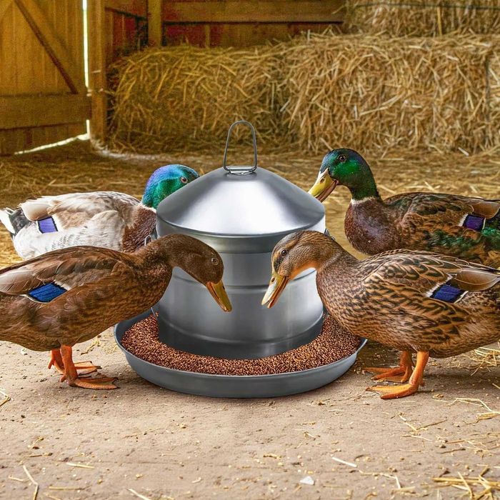 Метална Поилка за Птици 8 Литра Неръждаема за Кокошки, Пилета и Патки