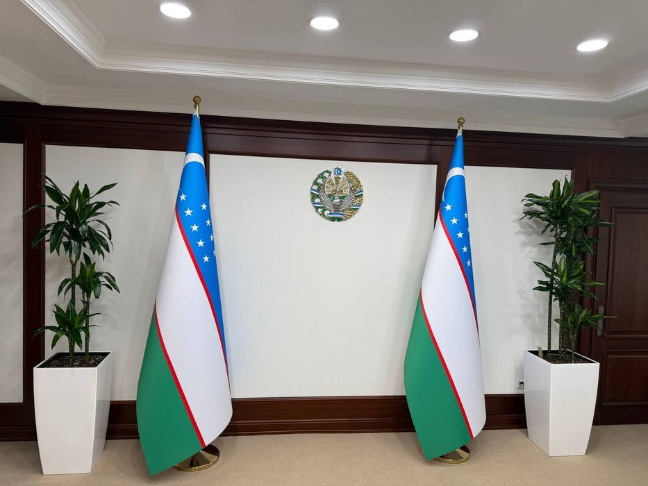 Офисные растения