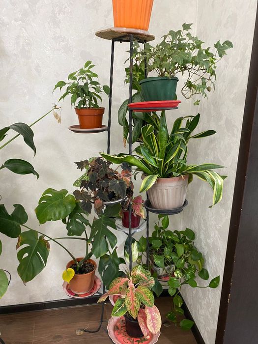 Цветы с подставкой