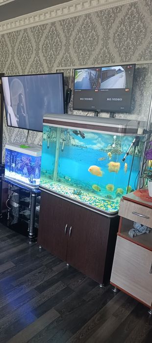 Зовадской аквариум 320