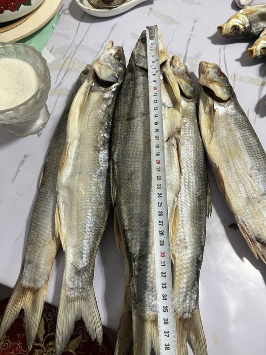 Кепкен балык сатамын