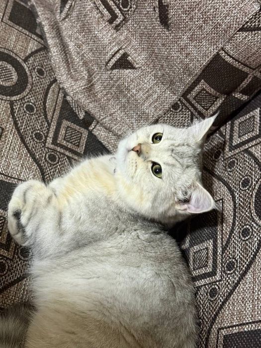 Приглашаем на Взяку!