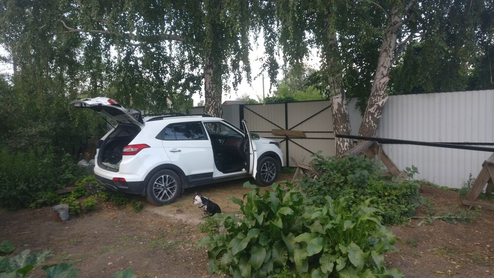 Дача, общество Мичуренец