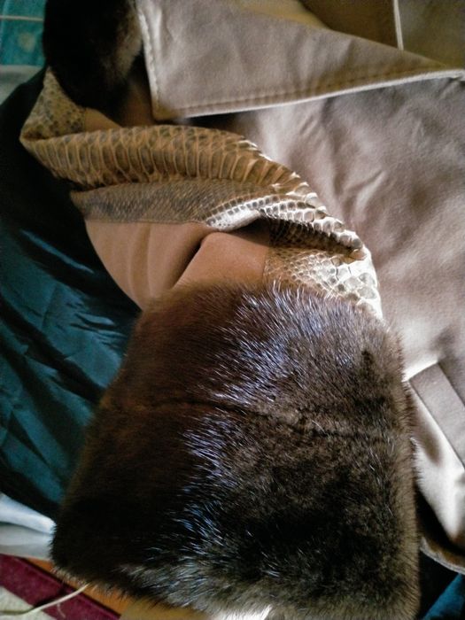 Продам новое пальто и лоферы