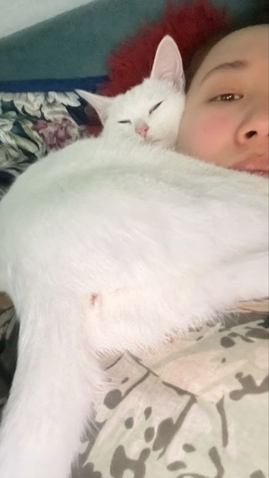 Щенки в добрые руки